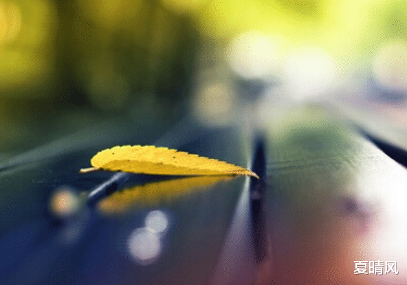 夏晴风 年过三十,你要懂得:钱品好的人,人品不会差