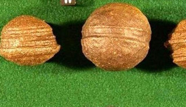 电鳗 科学家发现数十亿年前“不应该存在”的东西？史前文明真存在吗？