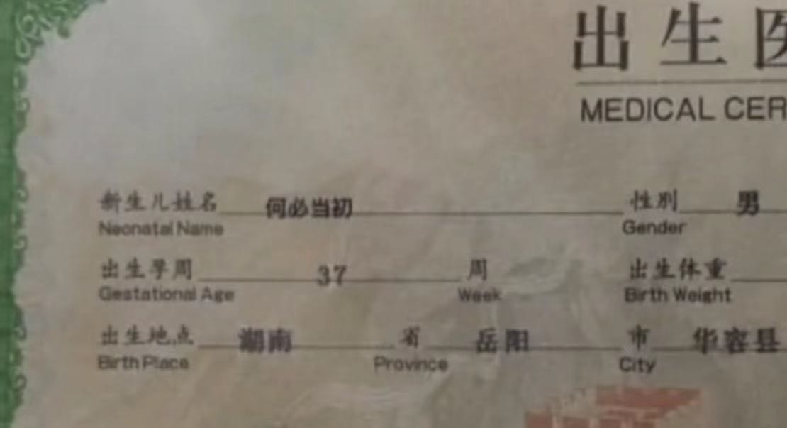 布谷妈妈|90后家长太皮了,给孩子取名个个“与众不同”,老师点名已崩溃