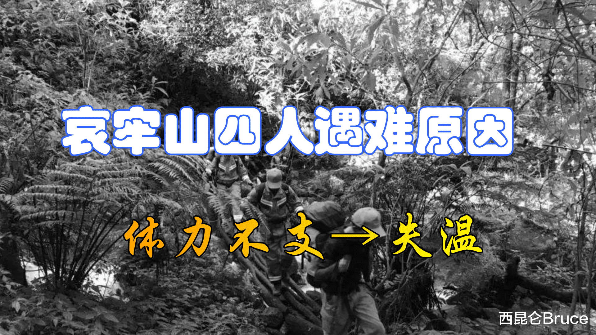 哀牢山|4部手机都坏了？哀牢山事件真相公布，为何还有人对结果质疑呢？
