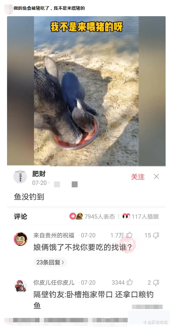 神回复|神回复：马云判断未来房价会成白菜价，是基于什么逻辑？神评亮了