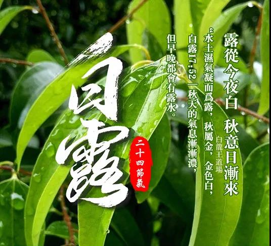 白龙王说|万灵吉历 ∣ 2021年9月7日【每日宜忌】
