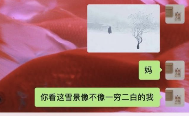 张子枫|张子枫优雅又不失礼貌地向父母要生活费，给00后，提供了新思路