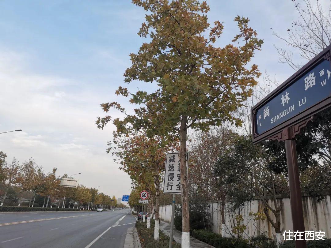 恒大|实探！高铁新城绿城、经发、绿地地块开发进度，经开第五学校进展！