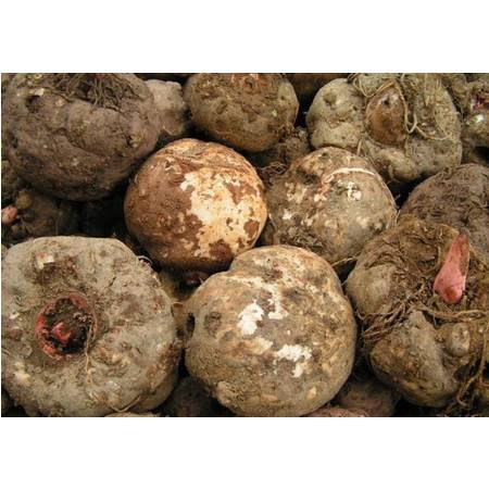 蔬菜|降血糖的蔬菜，再喜欢也别乱吃了，这几样放开了吃！