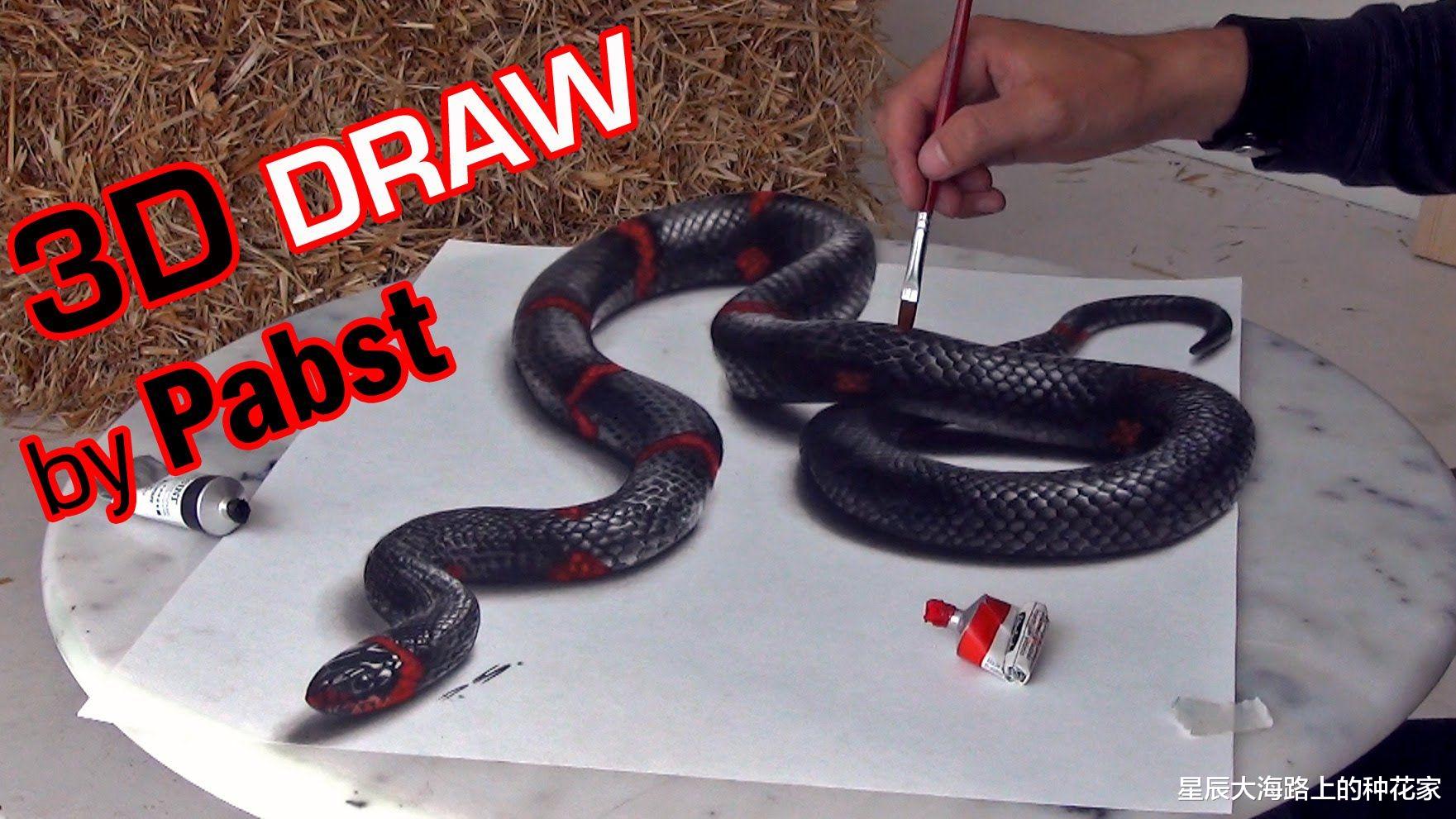 王锦蛇 菜花蛇无毒，为什么它能杀死剧毒五步蛇，还被称为百蛇之王？