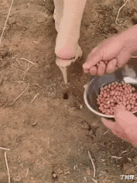 丁其琛|妹子以后别穿这么透的裙子坐公交车了,大爷看得高血压都要犯了