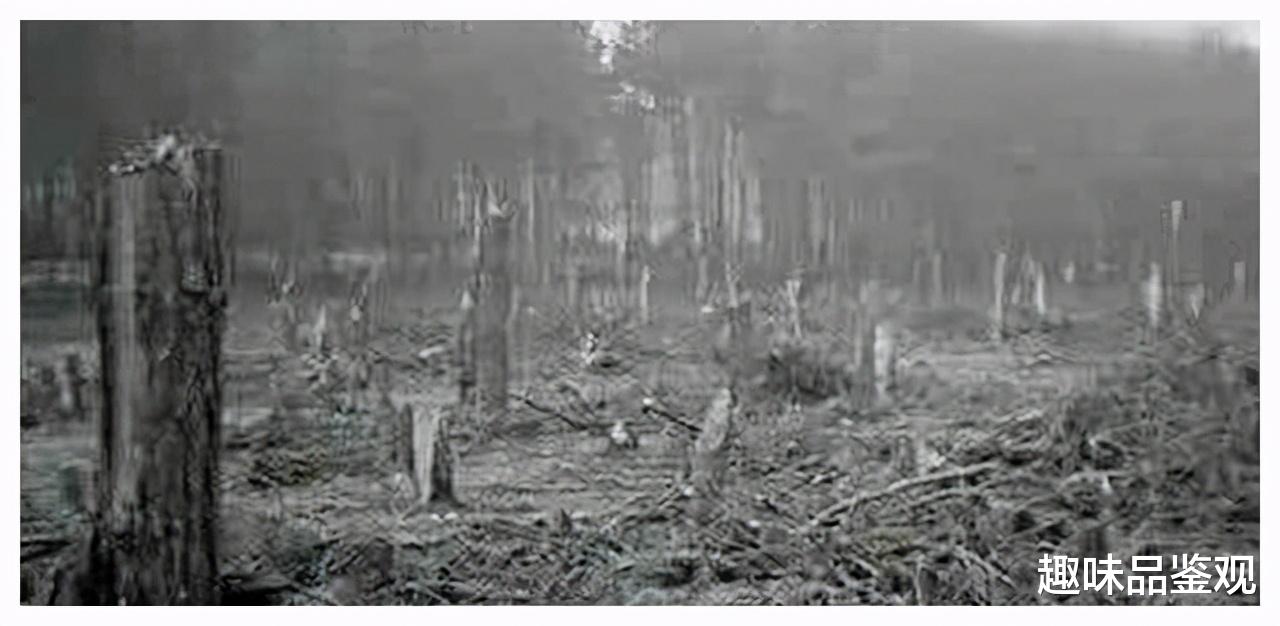 科学家 1994年空中怪车事件,守林人目睹神秘强光和龙爪痕迹,疑UFO路过