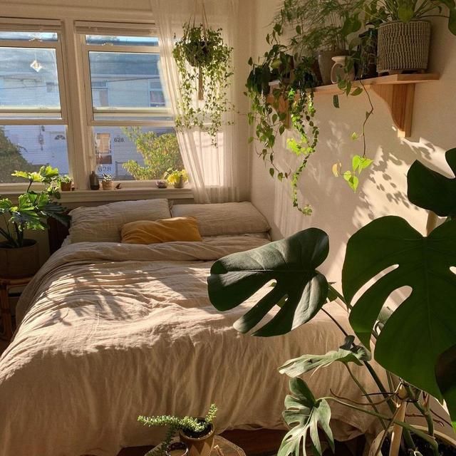 家居师太的 加拿大48平精致一人居：四周绿植环绕，一个人的日子过得有滋有味