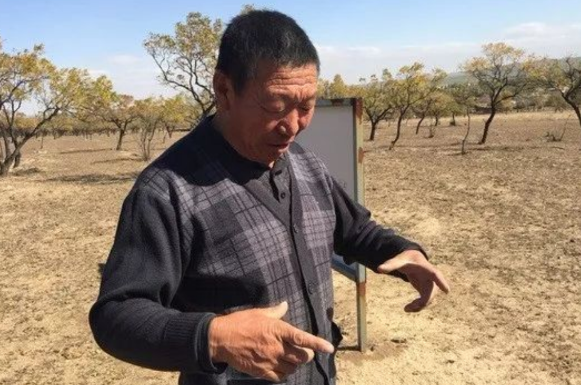 村民发现“真龙”文物却不识货,被干部30元收购,现已价值过亿