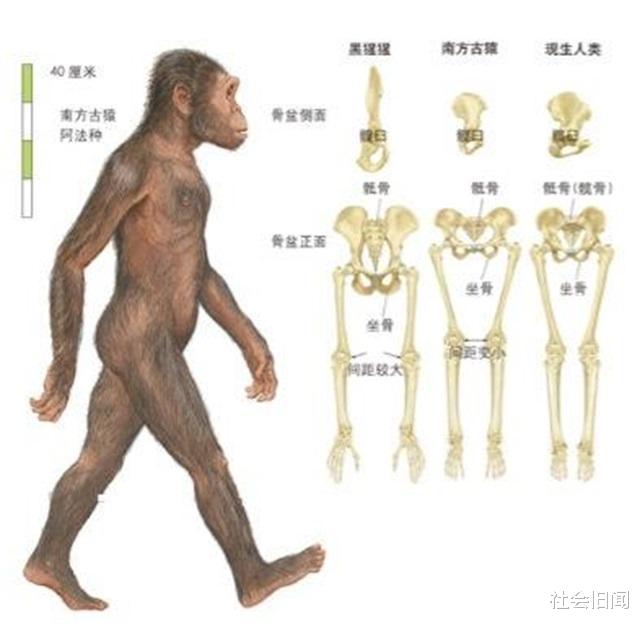 进化论解释了人类起源,它还告诉我们人类还能进化,只是模样一言难尽