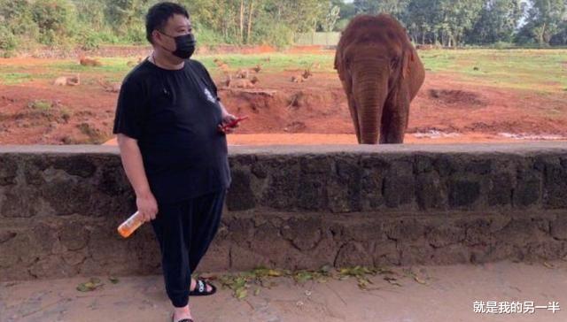 相声演员|孙越放弃减肥，在线求网友p图，不过这届网友太皮了