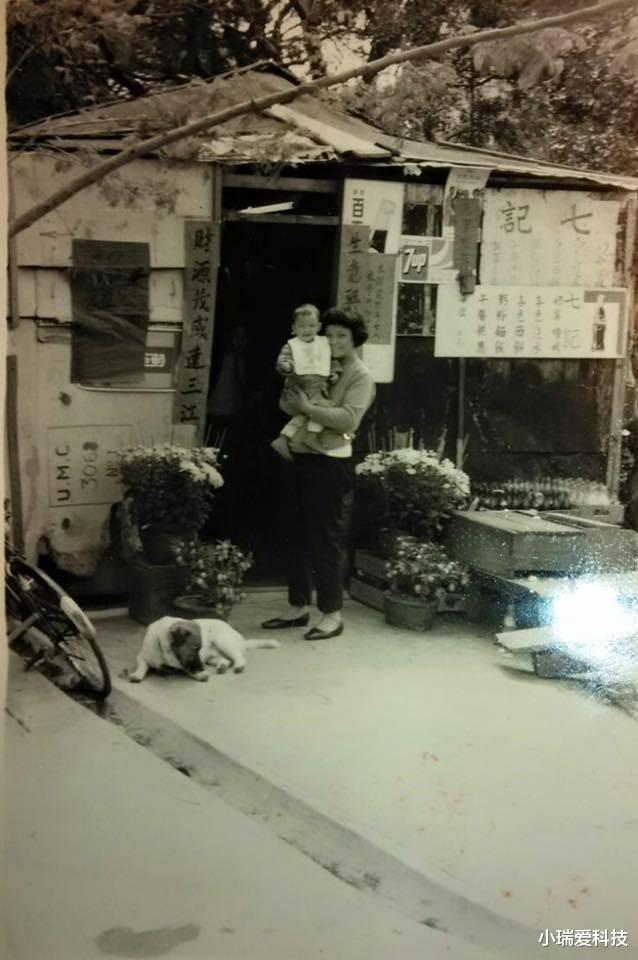 周慧敏|“玉女掌门人”周慧敏：就这样改写了命运，我们都被她的外表骗了