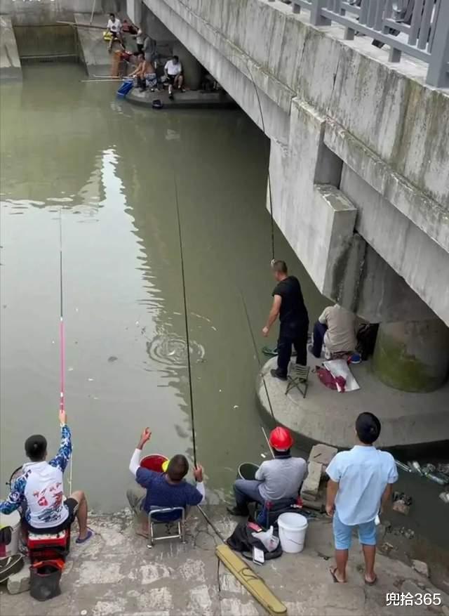 上海市|上海一河道成“天然黑坑”，成百上千钓鱼人聚集于此，网友：壮观