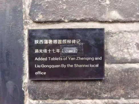 兜妈爱叨叨|10岁男孩为博物馆纠错，火眼金睛瞧出年份不对，网友：未来可期