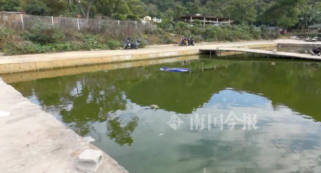 饵料|柳州一小车撞倒男孩掉进鱼塘，接下来这幕太暖心