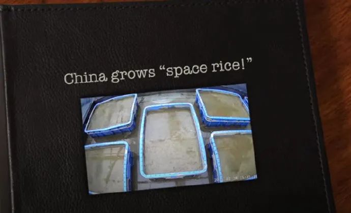 印度网友评论:中国人在太空中种植大米了