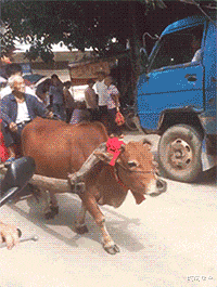 时尚炫点 白素贞飞行的时候为什么要把一只手往前伸？原来是这样...