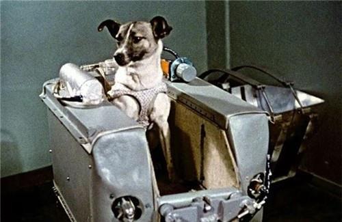 医生 失去动力51年，东方红一号为何没坠毁？专家：再过1000年也没事