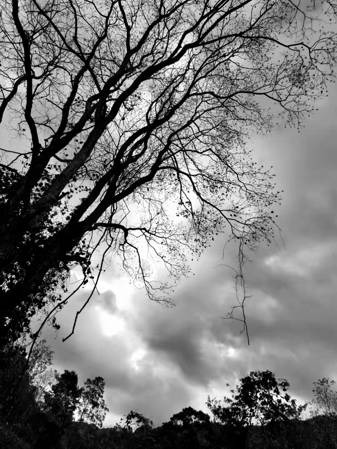 这才是内心最真实的色彩 即使是再小的恐惧也会被无限放大