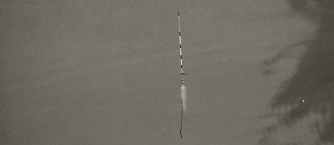 日本|[ 鲫鱼钓 ] 日鲫空钩调标，日本专业钓鱼书籍介绍