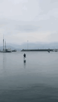 歪骆驼|“小姐姐在面盆里洗脚，摔倒的画面太舒适，看你下次还敢不敢”