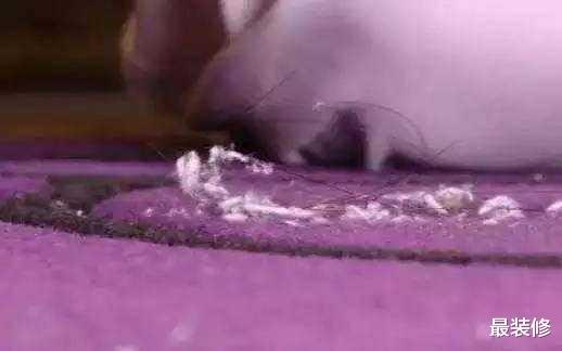 年底扫除,地板天天拖还有毛絮?教你正确做法,一周不拖都干净!