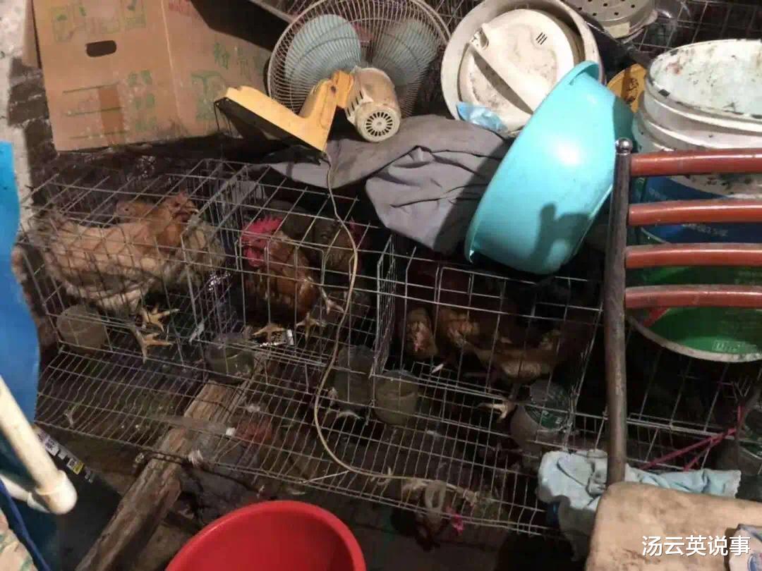 民事诉讼法 佛山男子负重暴走10公里只为偷鸡