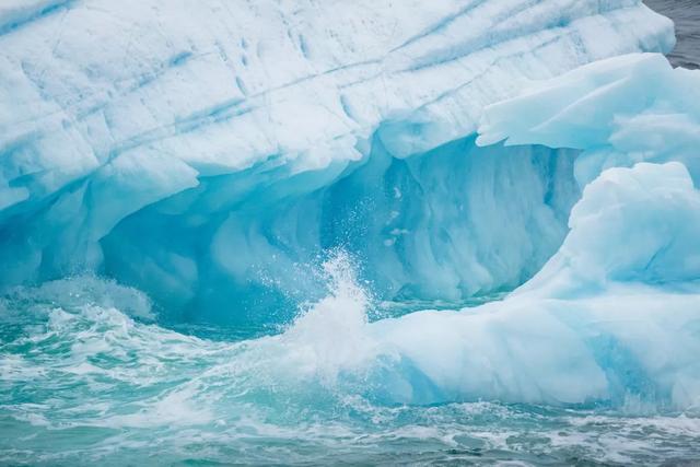 恐龙 2.3亿年前，地球持续下了100万年的雨，最终把恐龙送上王之宝座