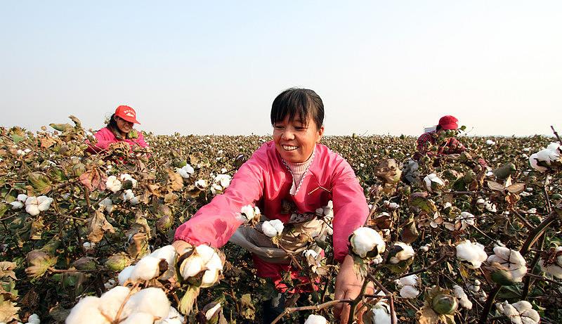 相机|有味道的“杀菌之王”乙蒜素你真的会用吗？教你怎么能用好它