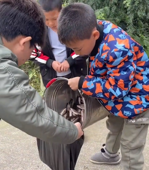 |网友偶遇几小孩卖鱼, 一孩子: 父亲早逝, 我是家里顶梁柱, 帮妈妈养家
