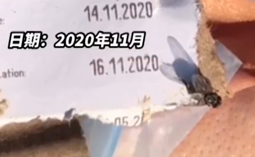 笑笑社会说 广东一河道出现不明冻肉，凑近看是国外来的，引网友推测