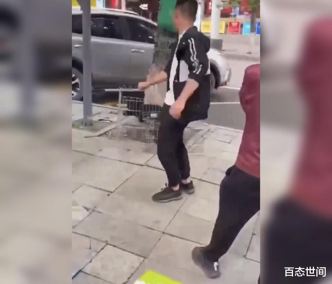 百态世间 自贡一男子和妻子吵架，当街虐狗撒气 ，两小狗哀嚎嘶鸣，一只死亡