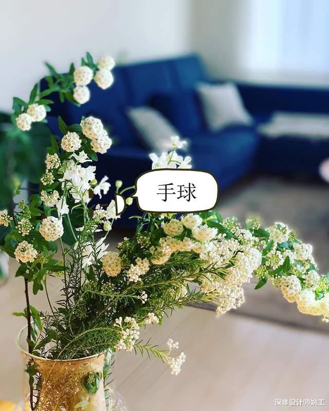 |桌上不摆花，放这9种遇水即活的绿植，装点了室内，养护也更省心