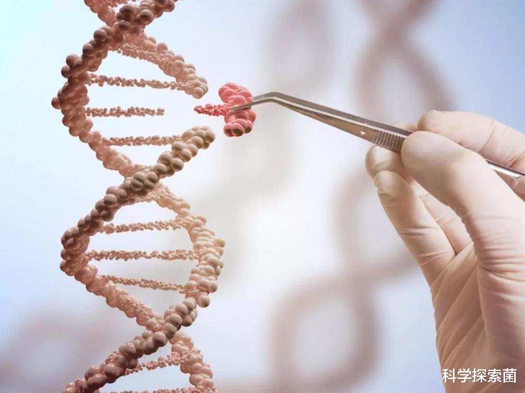 基因 科学家已有能力在实验室中合成病毒，人类要做造物主？
