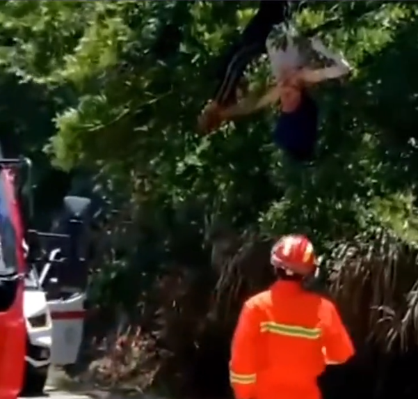 车祸 揭阳车祸女子被撞飞倒挂在树上,四肢下垂昏迷不醒,现场一片狼藉