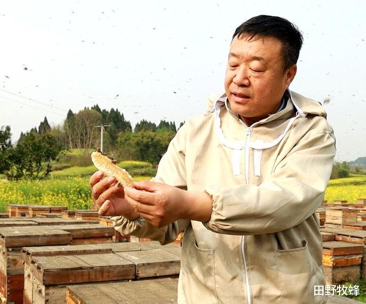 田野牧蜂|蜂蜜食品做法大全? 蜂蜜可以做哪些美食?