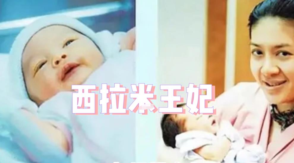 西拉米|50岁西拉米准备强势回归，王室成员晒出旧照，暗示布局时机成熟