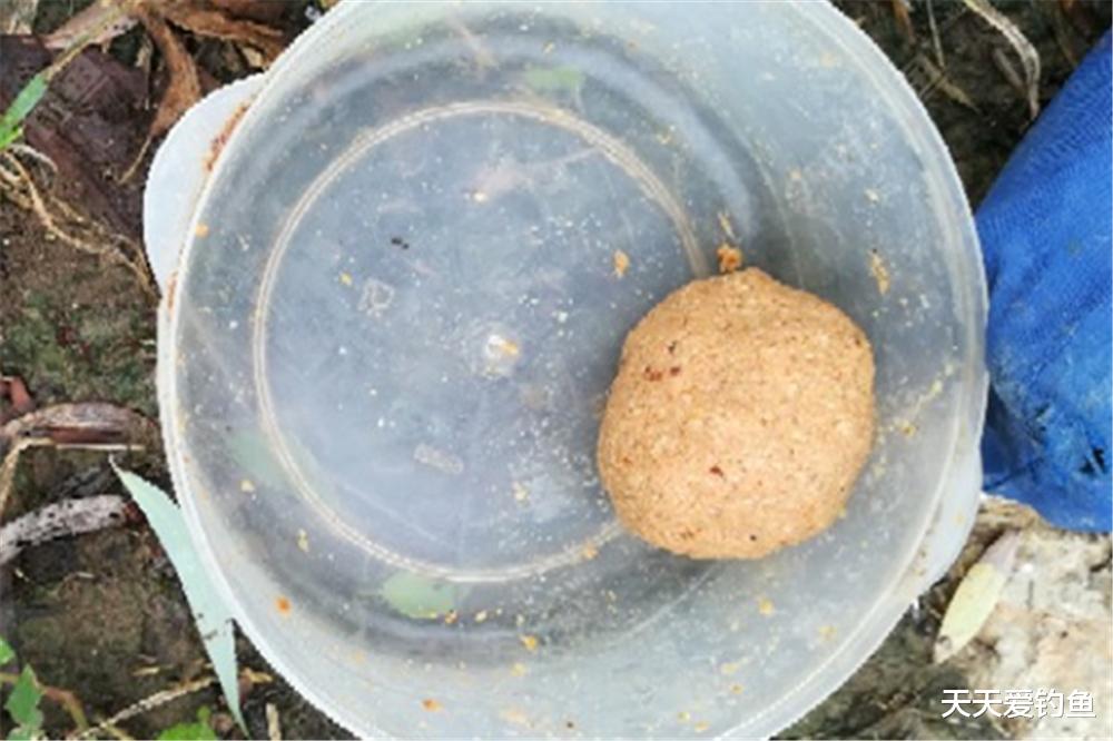 饵料|进入晚春时节，钓鱼技巧有一些显著变化，应变不当，只能空手而归