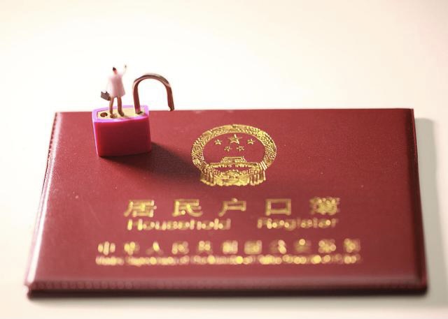 大城小事Z 深圳第七次人口普查数据出炉，十年间增加了700多万人！