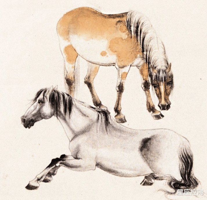 |哪些属相的人,积极向上,事业迟早突破瓶颈,一顺到底