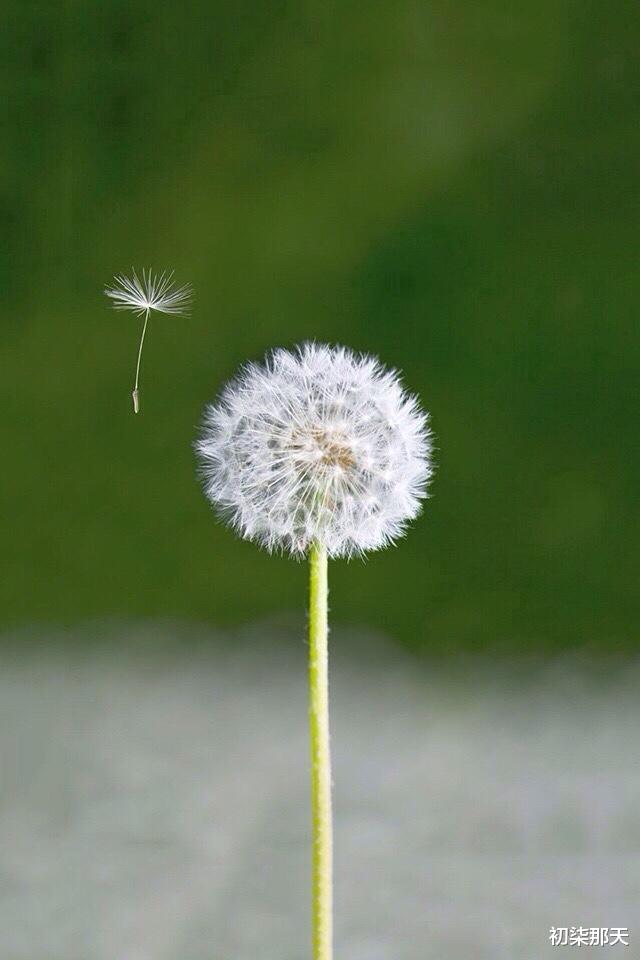 初柒那天|你是在哪一刻突然发现自己已经不再年轻？