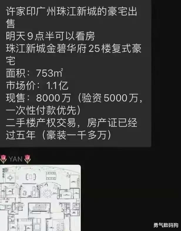 安置房|许家印：降价3000万出售自家的亿元豪宅，一次性付款优先