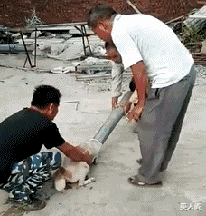 美人阁 大哥,这智商就告别用剑吧哈哈哈