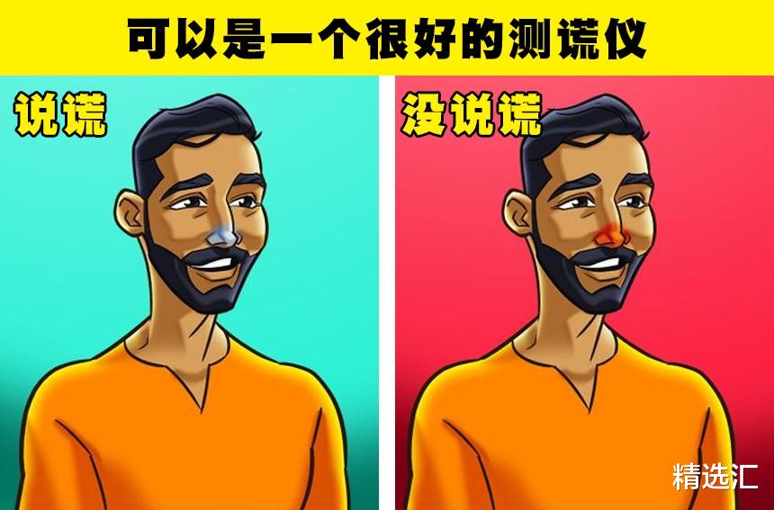  你的鼻子比你想象的更强大！人类鼻子所存在的7个强大的功能