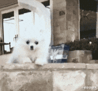  每天产那么多石油，抽空的空隙怎么办？会影响整个地球结构吗？