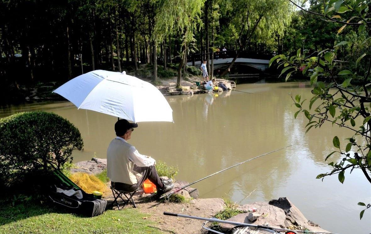 饵料|夏天野钓草鱼常空军？试试这5种钓法，钓鱼新手也爆护
