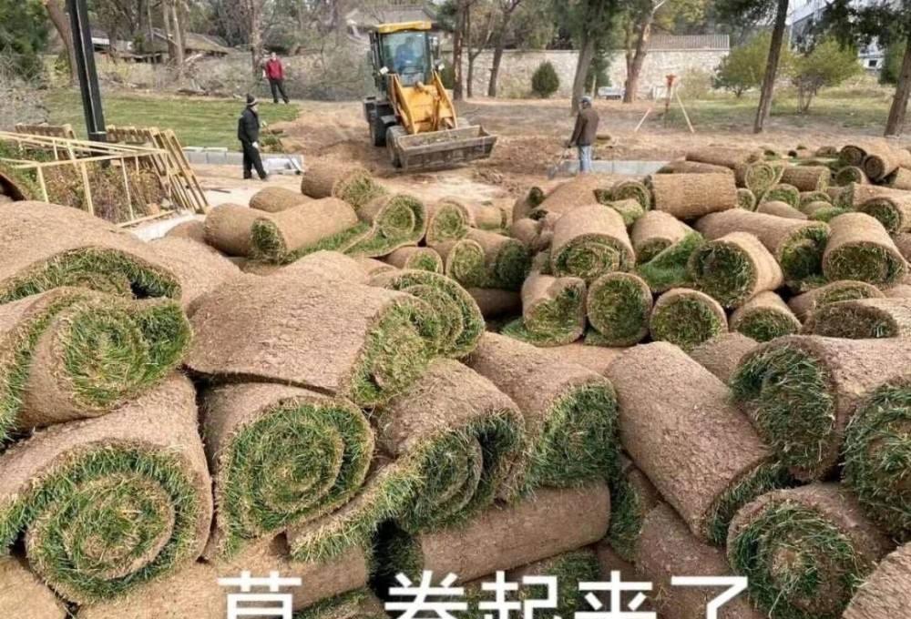 |感觉这届95后年轻人在职场很难混，以后可能会越来越难混