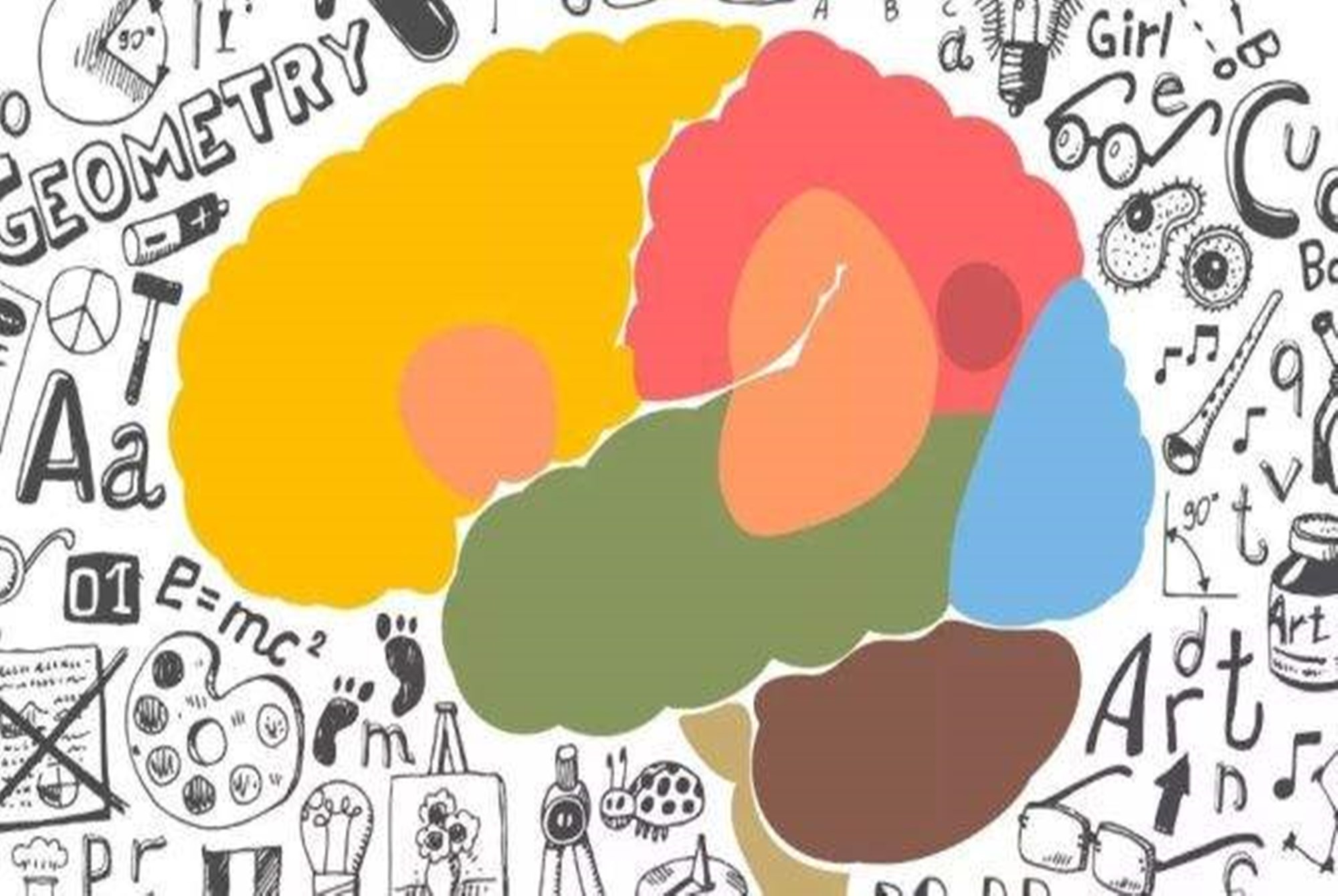 贝贝豆育儿课堂|“我劝年轻人要多开发右脑”，老教授的话，揭开了大脑发育的真相