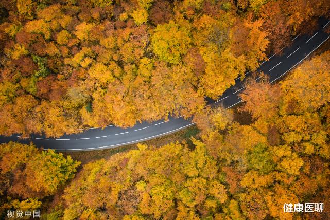 |秋季养肺正当时,做好这5点,养好肺,人健康!